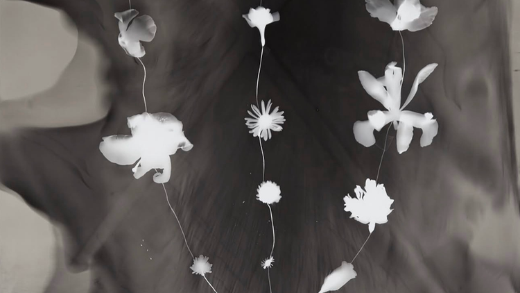 In Praise of Shadows