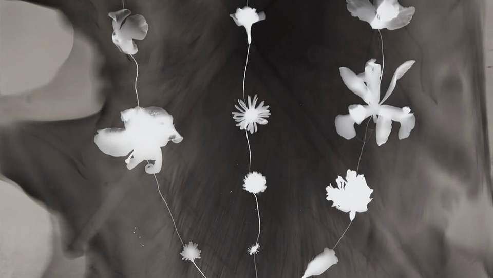 In Praise of Shadows